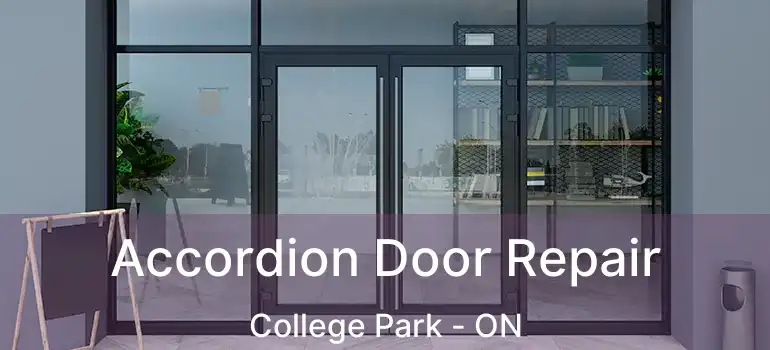  Accordion Door Repair College Park - ON