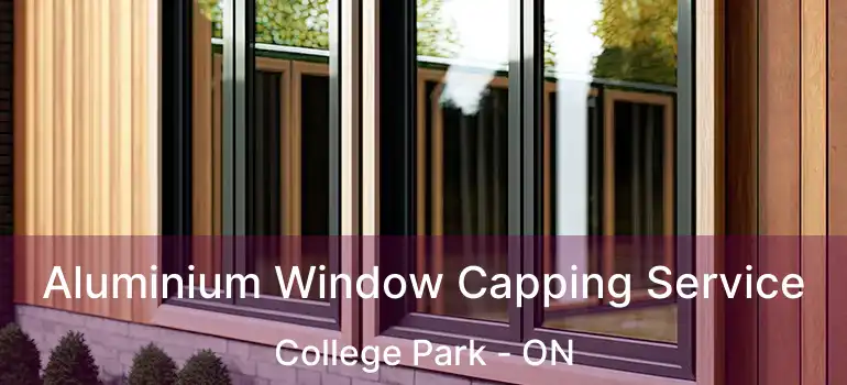  Aluminium Window Capping Service College Park - ON