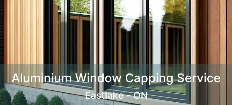  Aluminium Window Capping Service Eastlake - ON
