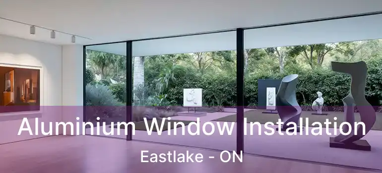  Aluminium Window Installation Eastlake - ON