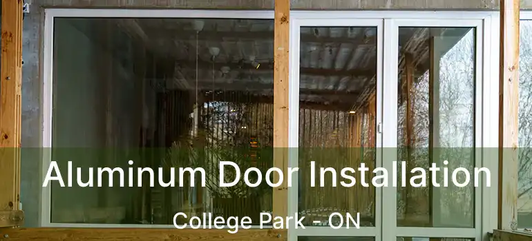  Aluminum Door Installation College Park - ON