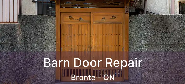  Barn Door Repair Bronte - ON