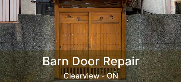  Barn Door Repair Clearview - ON