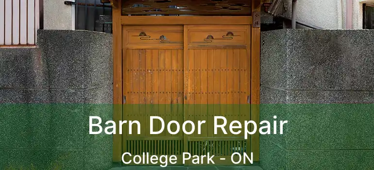  Barn Door Repair College Park - ON