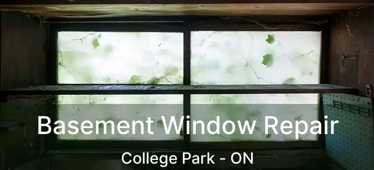  Basement Window Repair College Park - ON