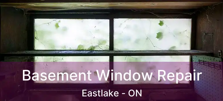  Basement Window Repair Eastlake - ON