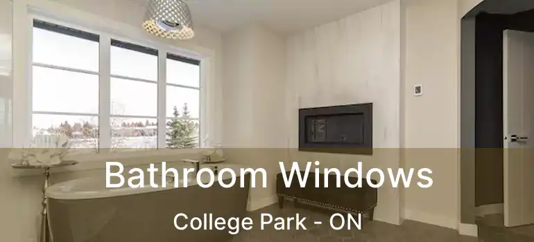  Bathroom Windows College Park - ON