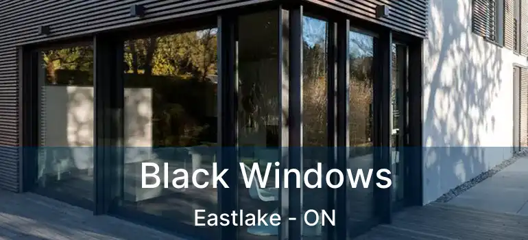  Black Windows Eastlake - ON