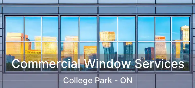  Commercial Window Services College Park - ON