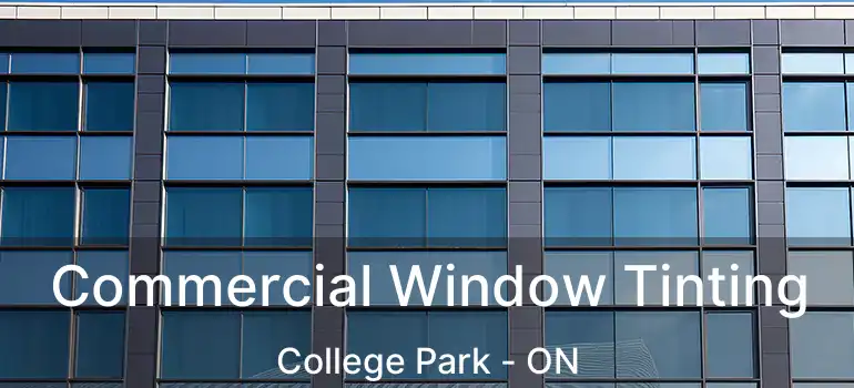  Commercial Window Tinting College Park - ON