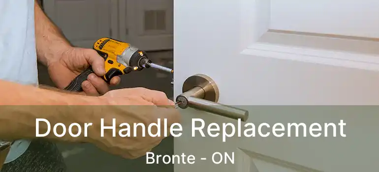  Door Handle Replacement Bronte - ON