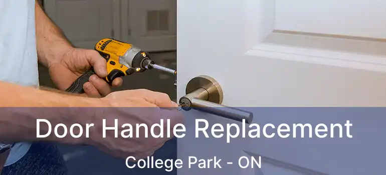  Door Handle Replacement College Park - ON