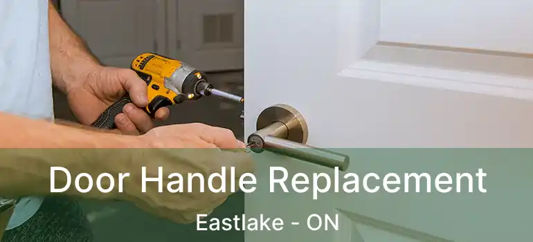  Door Handle Replacement Eastlake - ON