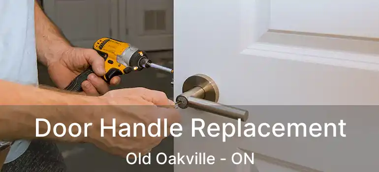  Door Handle Replacement Old Oakville - ON