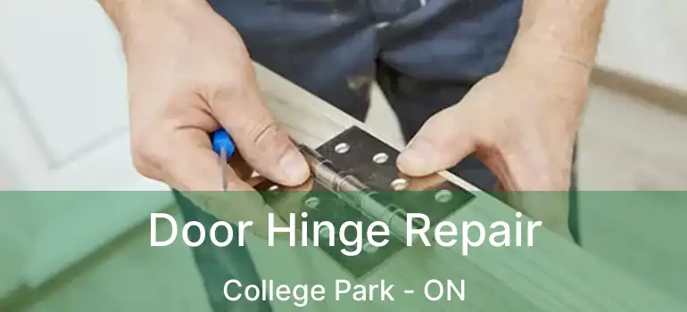  Door Hinge Repair College Park - ON