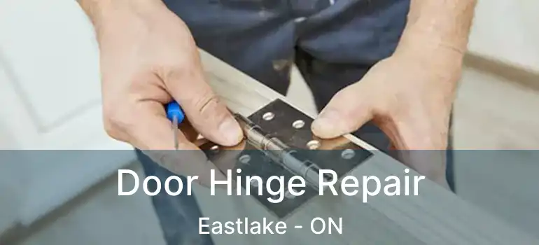  Door Hinge Repair Eastlake - ON