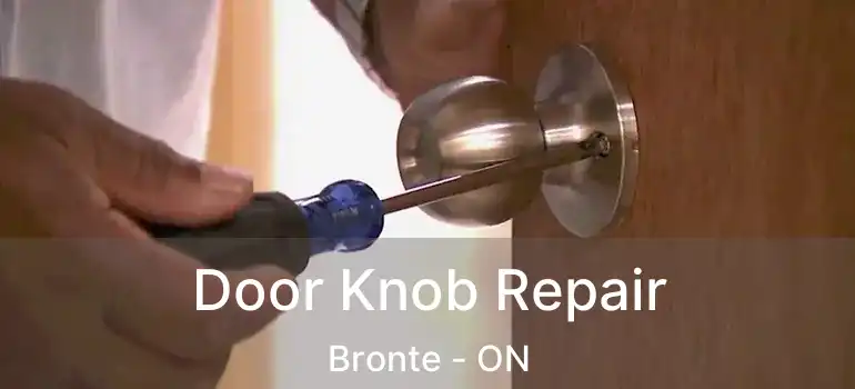  Door Knob Repair Bronte - ON