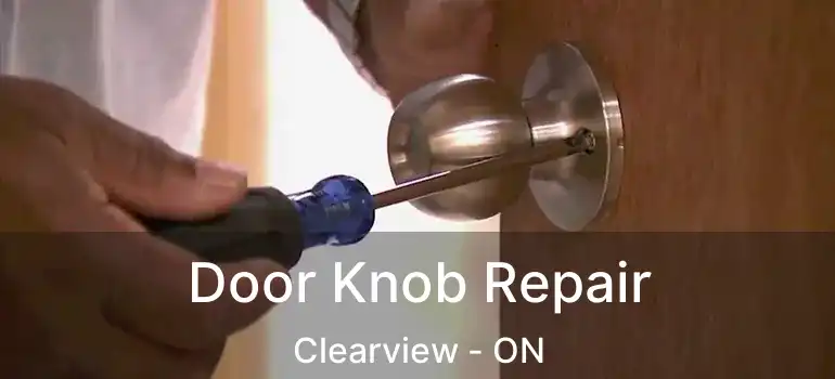  Door Knob Repair Clearview - ON