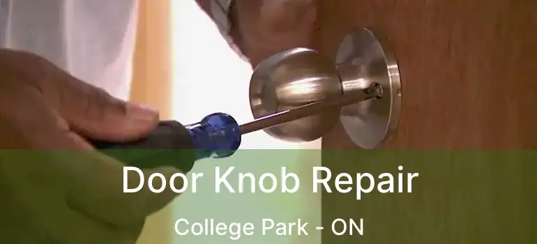  Door Knob Repair College Park - ON