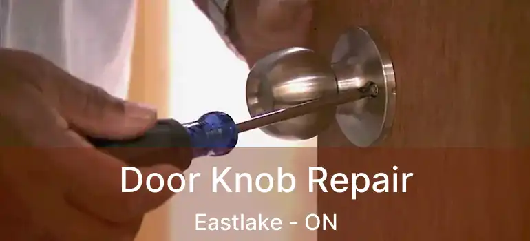  Door Knob Repair Eastlake - ON