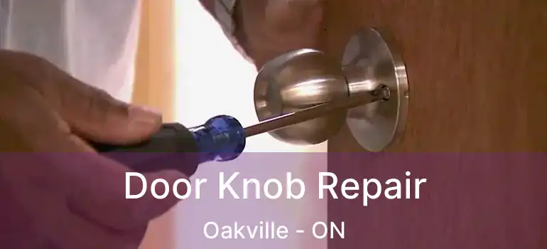  Door Knob Repair Oakville - ON