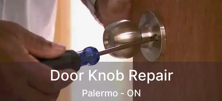  Door Knob Repair Palermo - ON