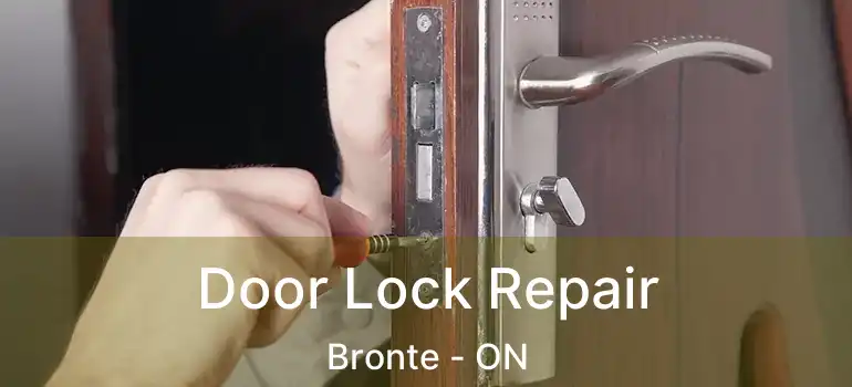  Door Lock Repair Bronte - ON
