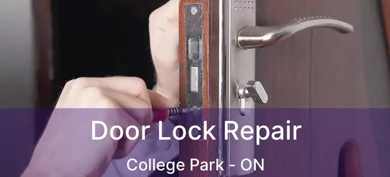  Door Lock Repair College Park - ON