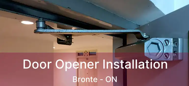  Door Opener Installation Bronte - ON