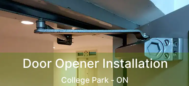 Door Opener Installation College Park - ON
