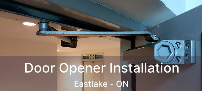  Door Opener Installation Eastlake - ON