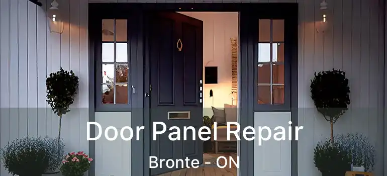  Door Panel Repair Bronte - ON