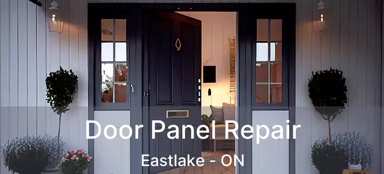  Door Panel Repair Eastlake - ON