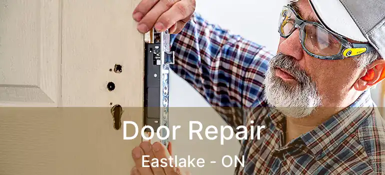  Door Repair Eastlake - ON