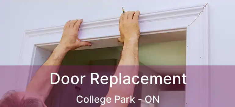  Door Replacement College Park - ON