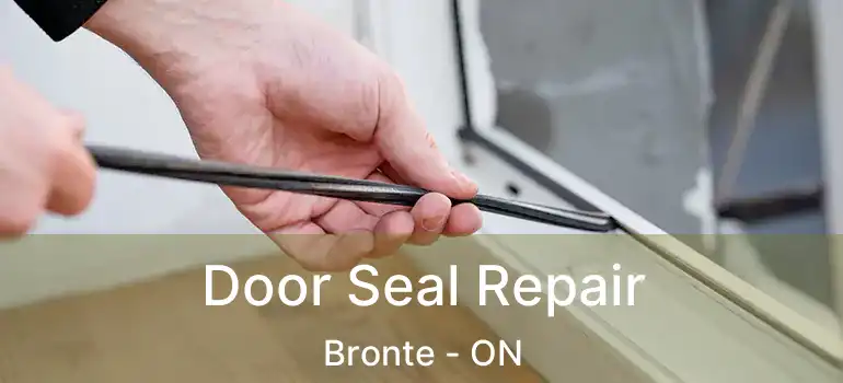  Door Seal Repair Bronte - ON