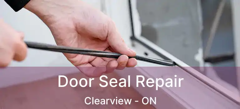  Door Seal Repair Clearview - ON