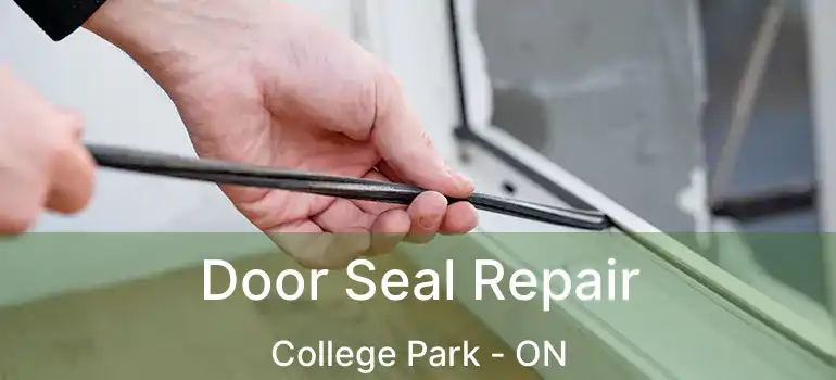 Door Seal Repair College Park - ON