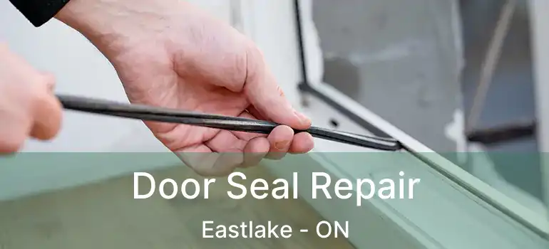 Door Seal Repair Eastlake - ON