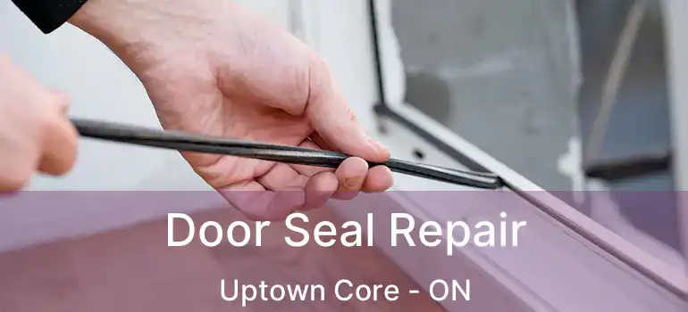  Door Seal Repair Uptown Core - ON