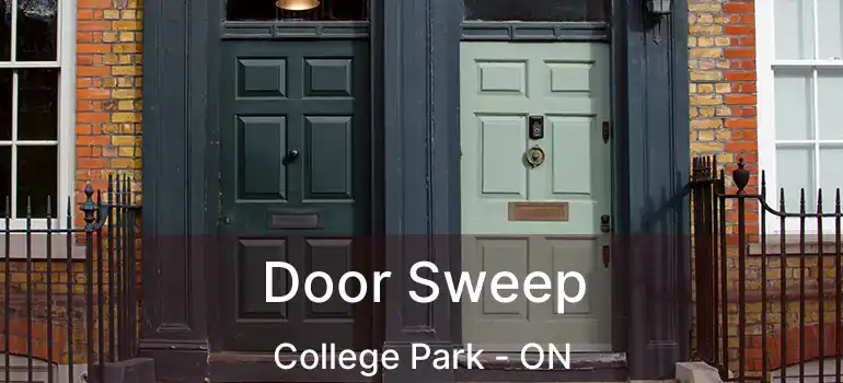  Door Sweep College Park - ON