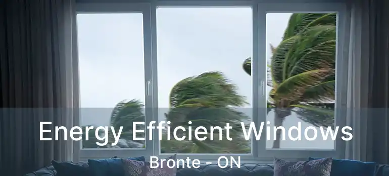  Energy Efficient Windows Bronte - ON