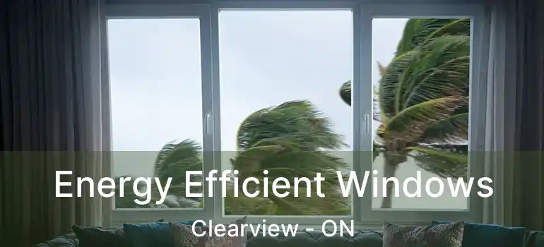  Energy Efficient Windows Clearview - ON