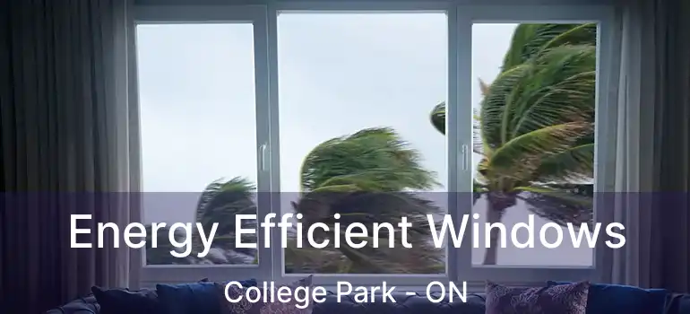  Energy Efficient Windows College Park - ON