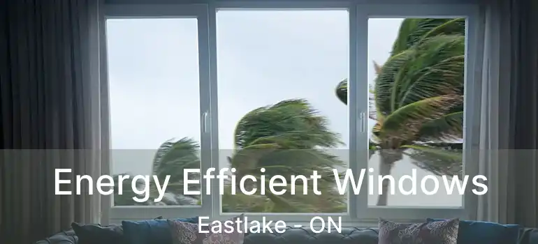  Energy Efficient Windows Eastlake - ON