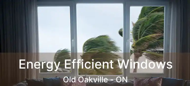  Energy Efficient Windows Old Oakville - ON