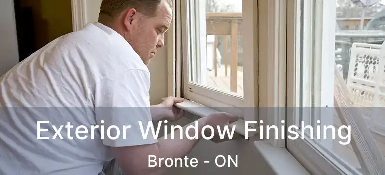  Exterior Window Finishing Bronte - ON