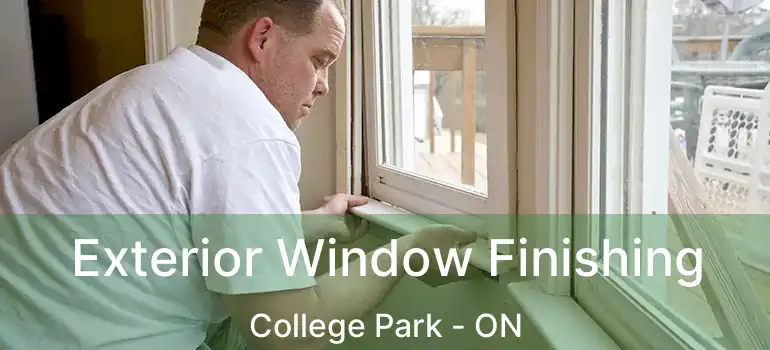  Exterior Window Finishing College Park - ON