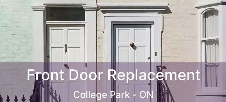  Front Door Replacement College Park - ON