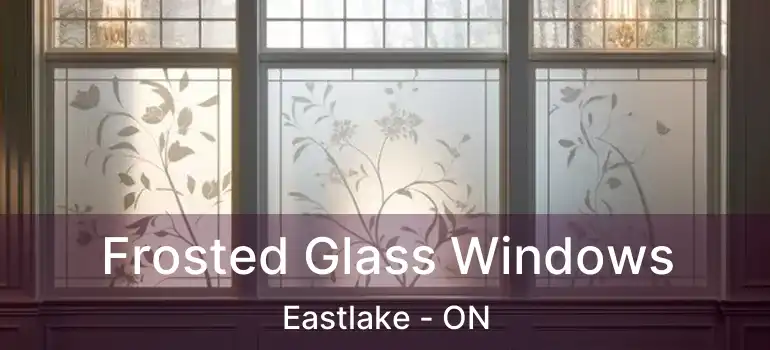  Frosted Glass Windows Eastlake - ON